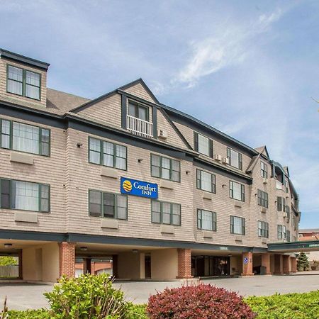 Comfort Inn At Newport Beach Middletown Eksteriør bilde